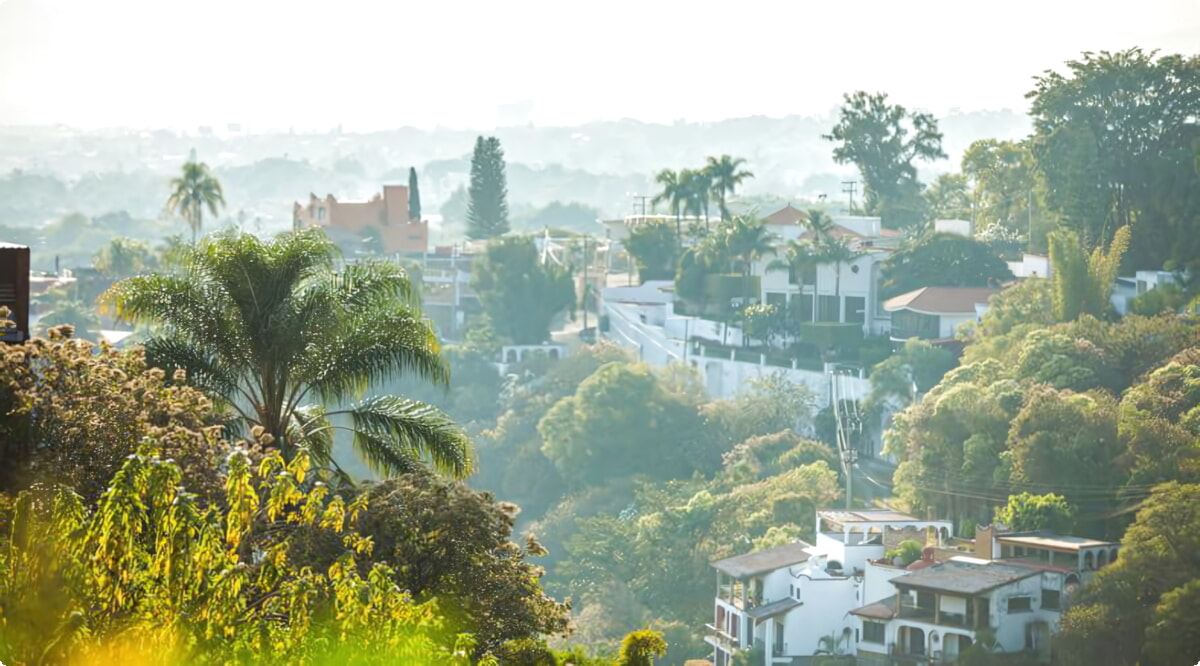 Quais são as escolhas de veículos mais populares em Cuernavaca?